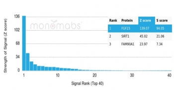 Analysis of a HuProt(TM) microarray containing more than 19,000 full-length human proteins using FGF