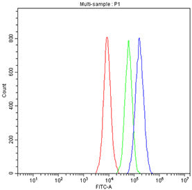 Flow cytometry testing of fixed and permeabilized human 293T cells with CREB antibody at 1ug/million