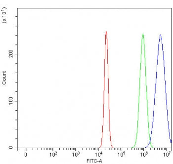 RAG2 Antibody / V(D)J recombination-activating protein 2