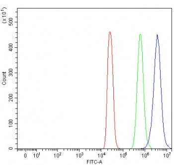 KIF1A Antibody