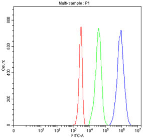 Flow cytometry testing of human Jurkat cells with CD5 antibody at 1ug/million cells (blocked with go