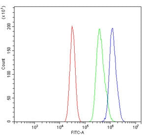 Tlr6 Antibody