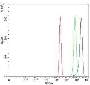 Flow cytometry testing of human U-2 OS cells with WIPF3 antibody at 1ug/million cells (blocked with