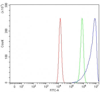 CCR4 Antibody