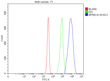 Flow Cytometry analysis of Jurkat cells using anti-MPND antibody. Overlay histogram showing Jurkat c