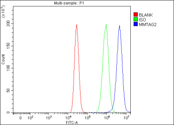 Flow Cytometry analysis of MCF-7 cells using anti-MMTAG2 antibody. Overlay histogram showing MCF-7 c