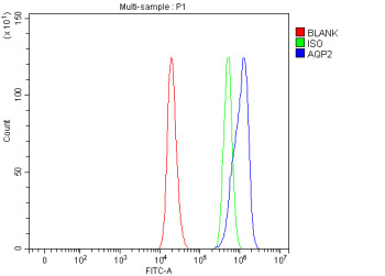 Flow Cytometry analysis of mouse RAW264.7 cells using anti-Aqp2 antibody. Overlay histogram showing