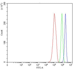 Flow cytometry testing of human RT4 cells with TMEM52B antibody at 1ug/million cells (blocked with g