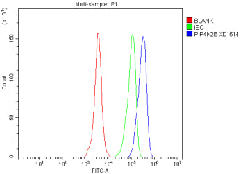 Flow Cytometry analysis of HeLa cells using anti-PIP4K2B antibody. Overlay histogram showing HeLa ce
