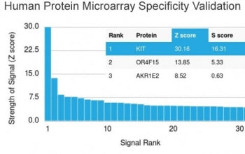 Analysis of HuProt(TM) microarray containing more than 19,000 full-length human proteins using CD117