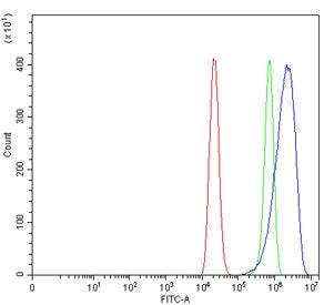 Flow cytometry testing of human ThP-1 cells with EREG1 antibody at 1ug/million cells (blocked with g