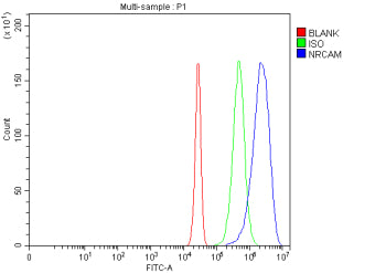 Flow Cytometry analysis of Neuro2a cells using anti-NRCAM antibody. Overlay histogram showing Neuro2