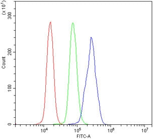 Flow cytometry testing of human U937 cells with RGS18 antibody at 1ug/million cells (blocked with go