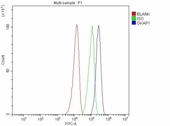 Flow Cytometry analysis of SH-SY5Y cells using anti-GKAP1 antibody. Overlay histogram showing SH-SY5