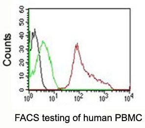 CD63 Antibody / LAMP-3