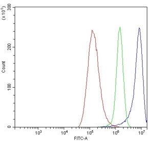 HOMER1 Antibody / SYN47