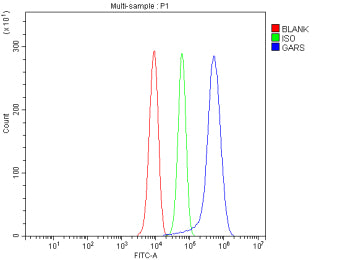 Flow Cytometry analysis of HepG2 cells using anti-GARS1 antibody. Overlay histogram showing HepG2 ce