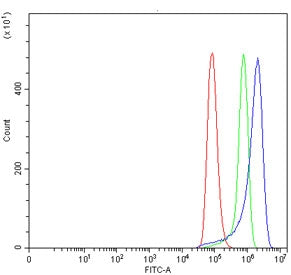 PDIA4 Antibody / ERp72