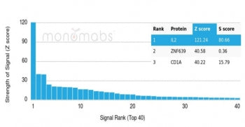 IL-2 Antibody