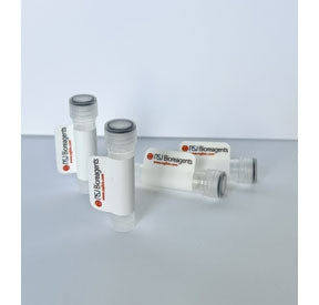 CD22 Antibody, 20 ug