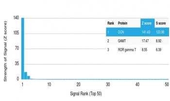 Analysis of HuProt(TM) microarray containing more than 19,000 full-length human proteins using Decor