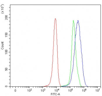 SLC5A4 Antibody / Solute carrier family 5 member 4