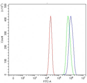 Flow cytometry testing of human U-2 OS cells with RAI14 antibody at 1ug/million cells (blocked with