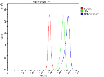 Flow Cytometry analysis of CACO-2 cells using anti-TRIM31 antibody. Overlay histogram showing CACO-2