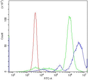 Flow cytometry testing of human PBM cells with CXCR1 antibody at 1ug/million cells (blocked with goat sera); Red=cells alone, Green=isotype control, Blue= CXCR1 antibody.