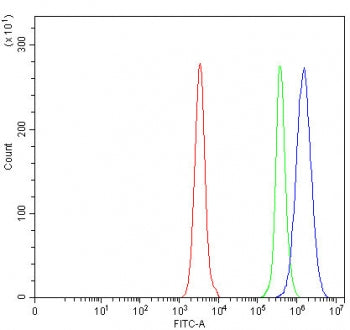 OGDH Antibody / 2-oxoglutarate dehydrogenase
