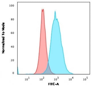 Flow cytometry testing of PFA-fixed human MOLT4 cells with recombinant Thymidylate Synthase antibody