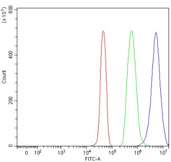 Flow cytometry testing of fixed and permeabilized human JK cells with TXNDC17 antibody at 1ug/millio