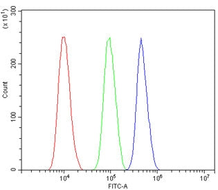 ASXL1 Antibody