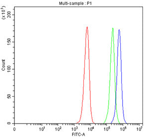 Flow cytometry testing of fixed and permeabilized human SiHa cells with MIB2 antibody at 1ug/million