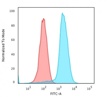 Flow cytometry testing of human Raji cells with recombinant Pan-HLA antibody (clone rHLA-Pan/3475);