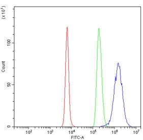 CINP Antibody