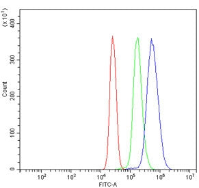 Flow cytometry testing of human U937 cells with NOX2/gp91phox antibody at 1ug/million cells (blocked