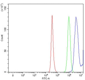 Flow cytometry testing of human HepG2 cells with 17-beta-HSD 3 antibody at 1ug/million cells (blocke