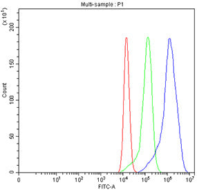 Flow cytometry testing of fixed human A549 cells with CD47 antibody at 1ug/million cells (blocked wi