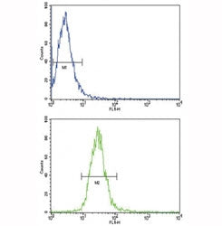 Flow cytometric analysis of NCI-H460 cells using TLR6 antibody (bottom histogram) compared to a nega