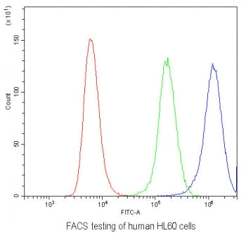 Flow cytometry testing of human HL60 cells with IL22 antibody at 1ug/10^6 cells (blocked with goat s