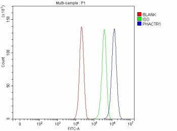Flow Cytometry analysis of cells using anti-PHACTR1 antibody. Overlay histogram showing cells staine