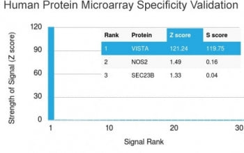 Analysis of HuProt(TM) microarray containing more than 19,000 full-length human proteins using VISTA