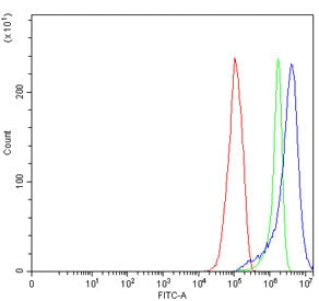 MX1 Antibody / MxA / Myxovirus resistance protein 1