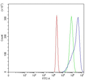 Flow cytometry testing of human U-2 OS cells with HMOX1 antibody at 1ug/million cells (blocked with
