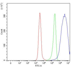 Flow cytometry testing of human Daudi cells with Solo antibody at 1ug/million cells (blocked with go