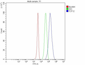 Flow Cytometry analysis of 293T cells using anti-TCF12 antibody. Overlay histogram showing 293T cell
