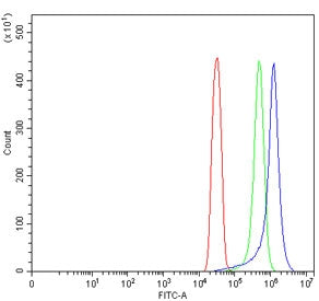 TM7SF3 Antibody / Transmembrane 7 superfamily member 3