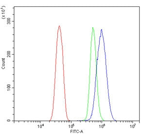 Flow cytometry testing of rat RH35 cells with Trem2 antibody at 1ug/million cells (blocked with goat