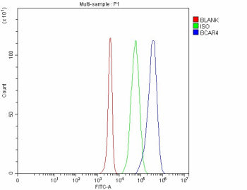 Flow Cytometry analysis of 293T cells using anti-BCAR4 antibody. Overlay histogram showing 293T cell